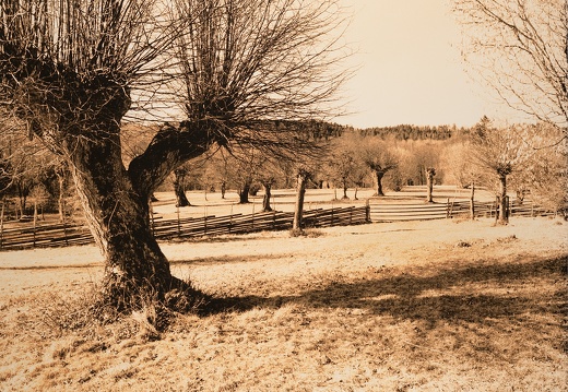 Cultural landscapes