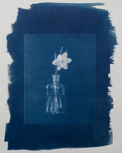 cyanotype_02.jpg