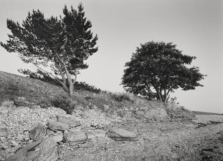 Stenstrand - Öland